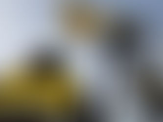 Прибыль «Роснефти» обвалилась почти на 60%