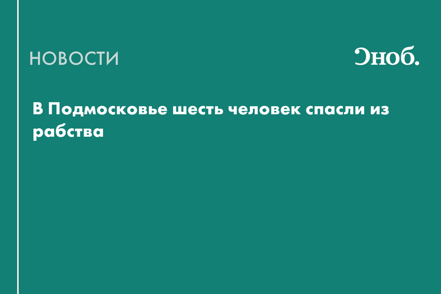 В Подмосковье шестерых мужчин спасли из трудового рабства на стройке