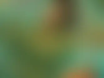 «Life of a Showgirl» Тейлор Свифт возглавила прокат США