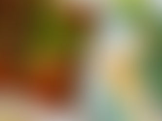 Hearty Low Carb Beef & Vegetable Stew