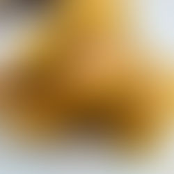 Pumpkin Spice Snickerdoodles