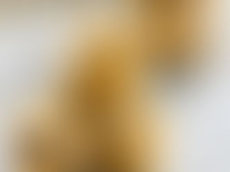 Chocolate Chip Cookie Dough (Dairy Free, Egg Free)