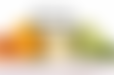 Introduction to Making Your Own Baby Food