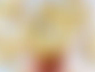 Low Carb Maple Sugar Cookies