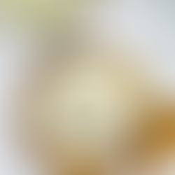 Wellness Wednesday- Diatomaceous earth