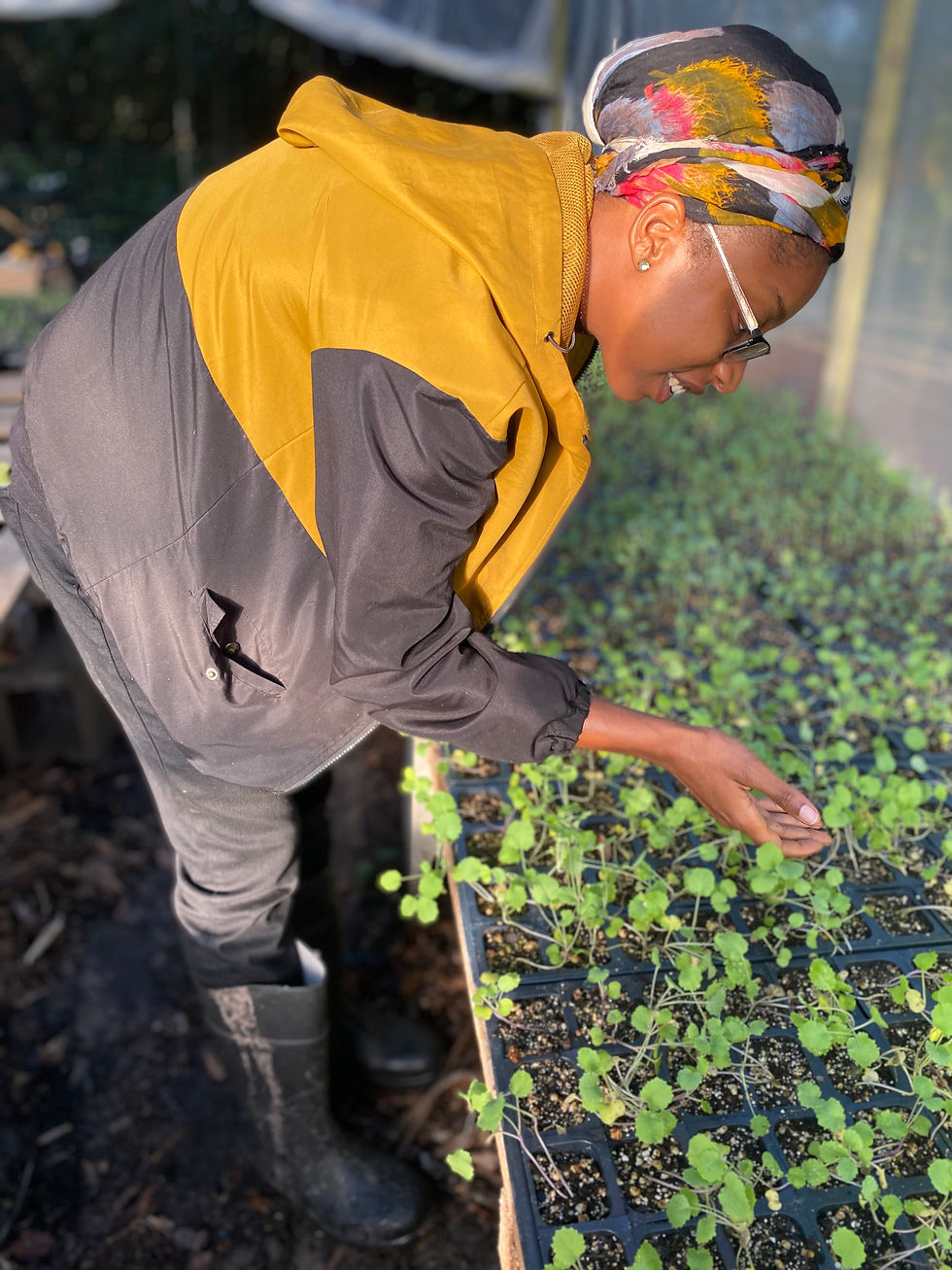 Thumbnail: Resilient Gardening A Quick Start Guide