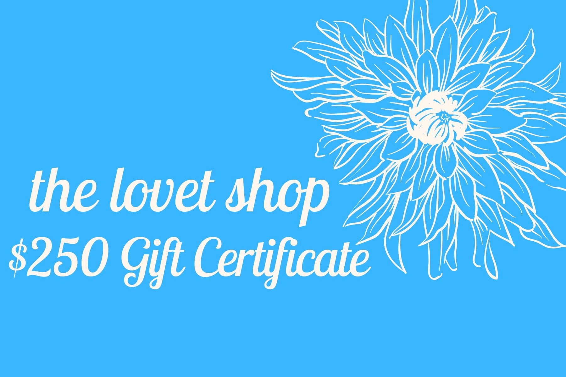 $250 Gift Certificate