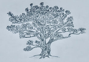 VF_ARBRE Clem (1).jpeg