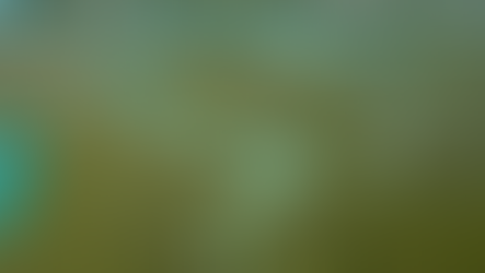 How Will Sea Level Rise and Climate Change Shape the Everglades
