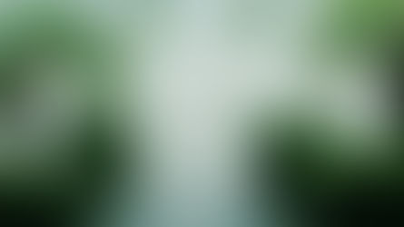 Economic Impacts of Climate Change in Florida