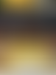 Macaloney's Distillery Dominates 2026 Canadian Whisky Awards with Five Gold Medals