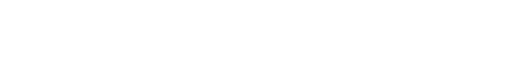 Prime studio logo