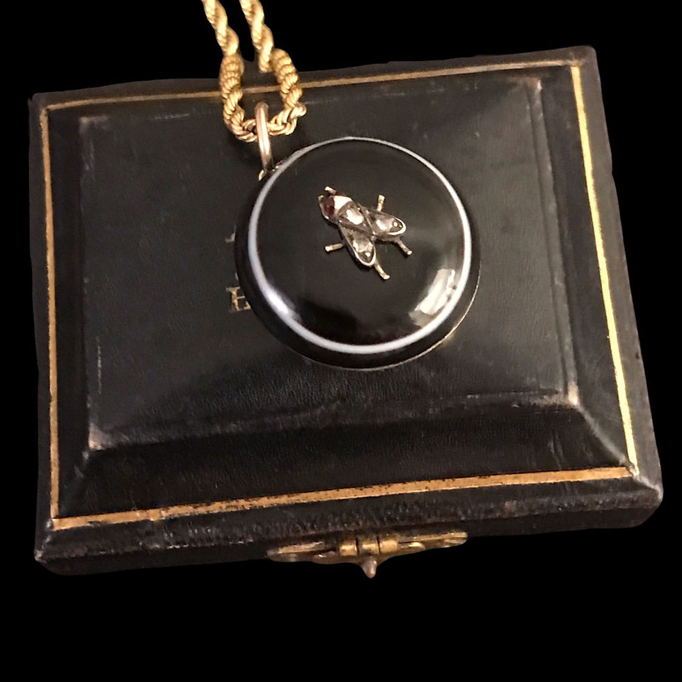 Thumbnail: Victorian Banded Agate Fly Locket 