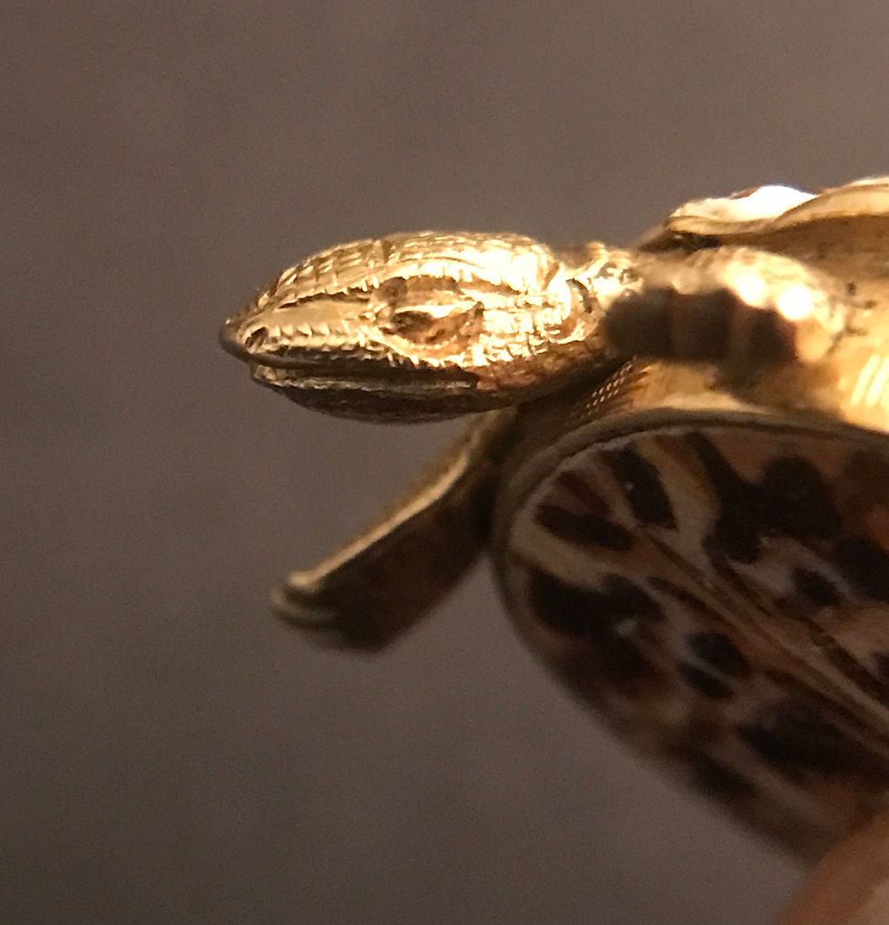 Thumbnail: Rare Early 19th Century Tortoise Viniagrette