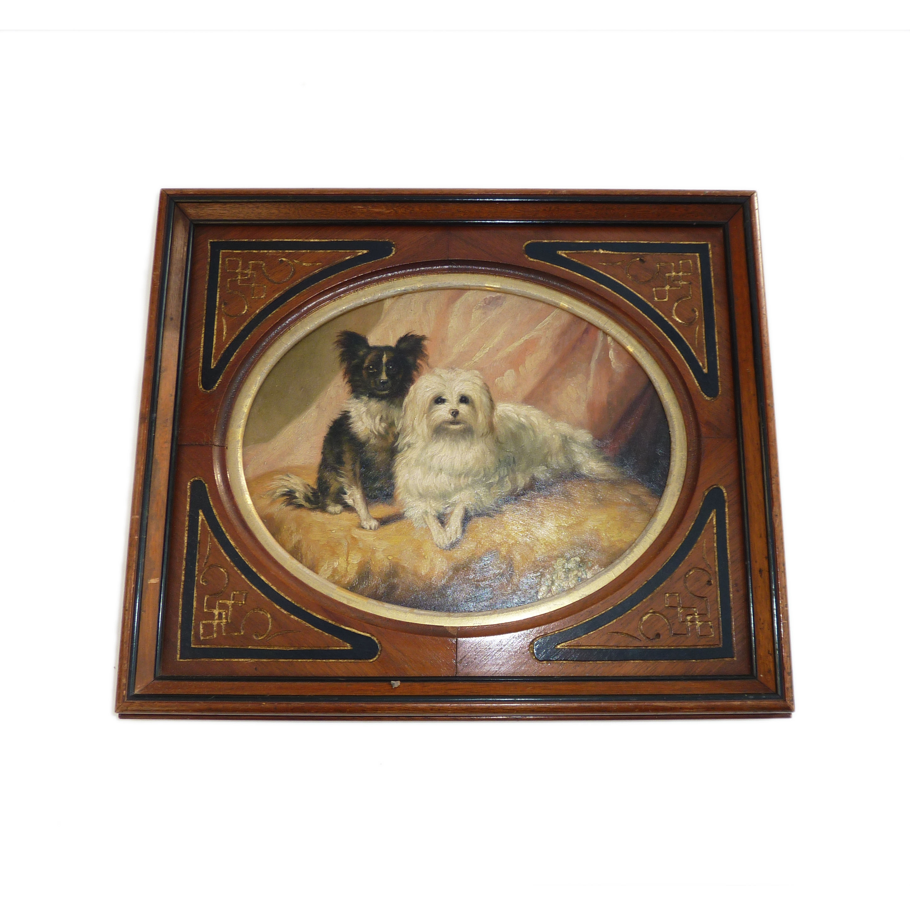 A Pair Of Pomeranians