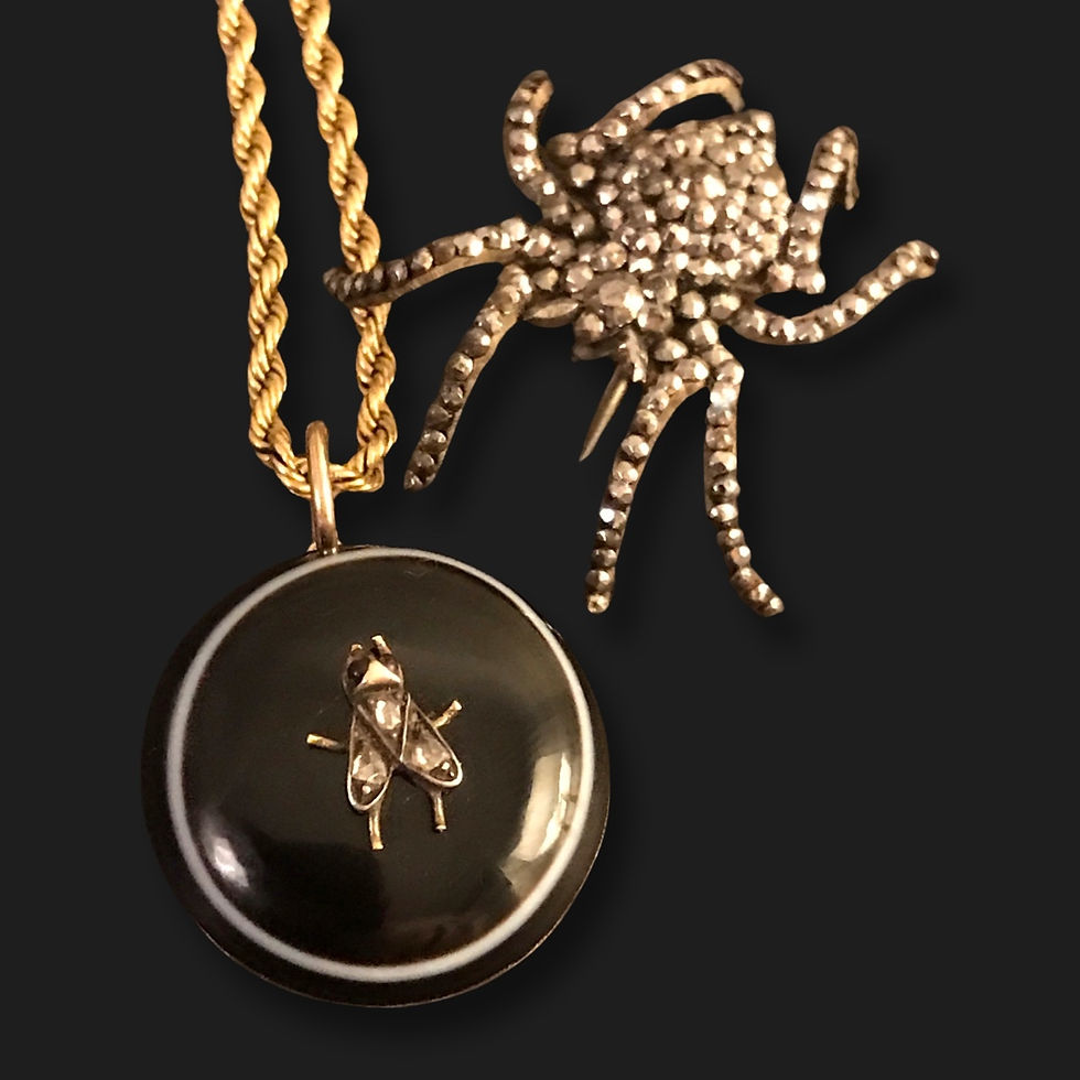 Thumbnail: Victorian Banded Agate Fly Locket 
