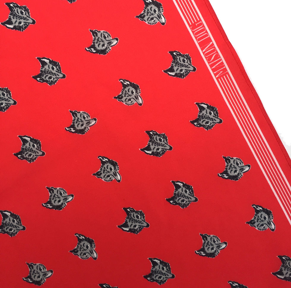Thumbnail: Red Fox Bandana