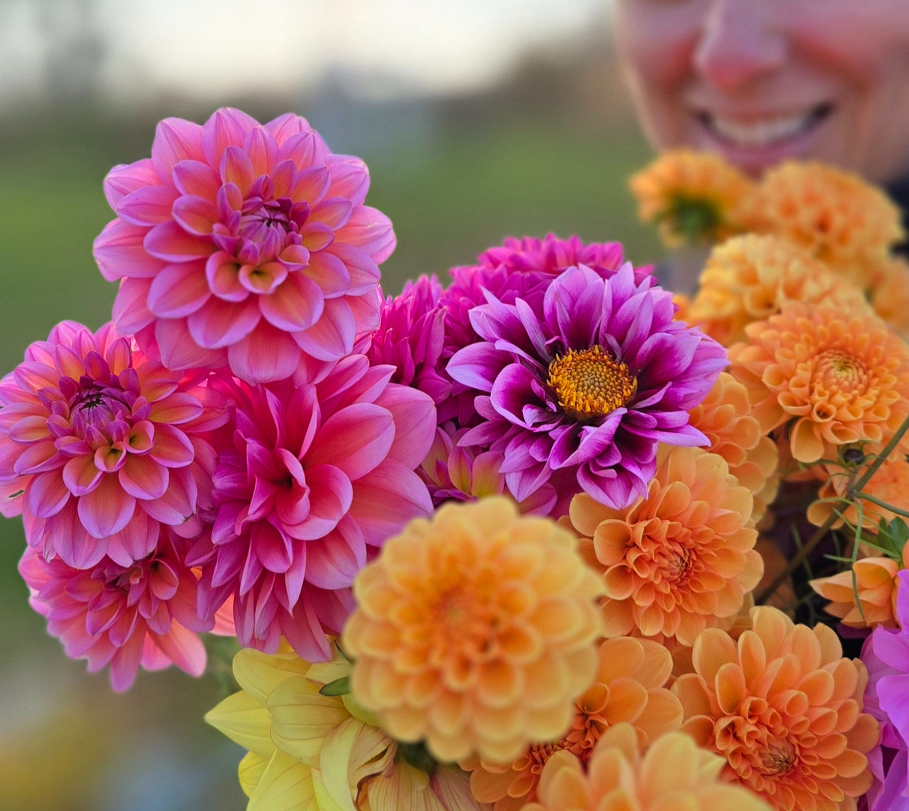 Fall Bloom Club 2026