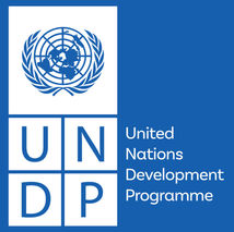 Carbon Credit Cross-Sector Impacts