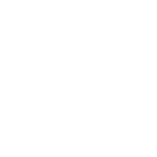 NoAHoles2021Logo-03.gif