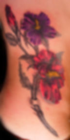 Rose of Sharon