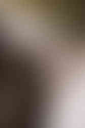 Trouwen bij de Havixhorst.