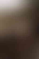 Diner aan lange tafels bij Restaurant Fox in Denekamp