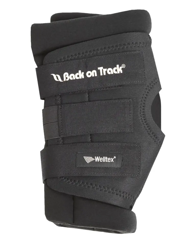 Back On Track Padded Royal Hock Boots