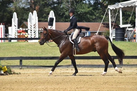 Hunter_rider_in_Shadbelly_480x480.webp
