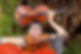 teresa-skinner-7533-crop.jpg
