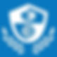LISA Institute