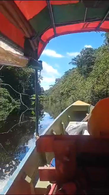 Miniatura:  Gerencia e ingeniería 