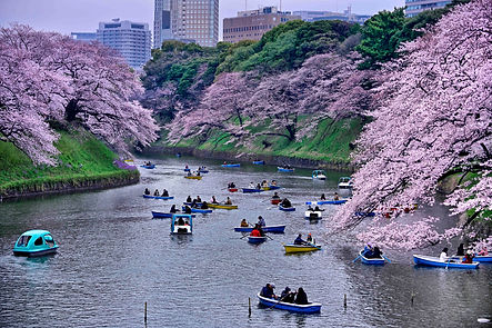japan_select-11.jpg