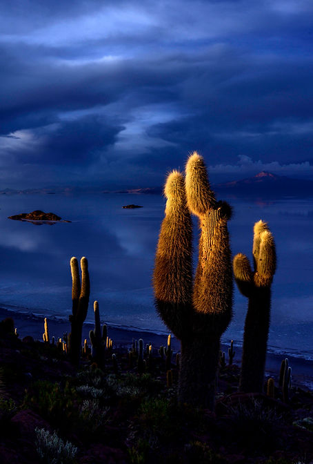 2020_uyuni_final-53.jpg