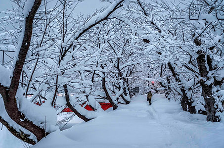 2018_japan_winter_select-13.jpg