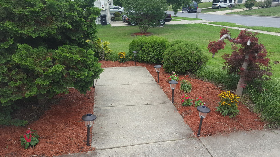 Front walkway