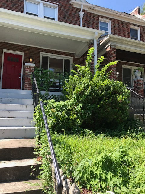 Overgrowth Before