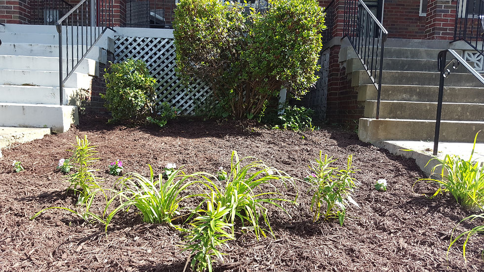 Overgrowth After