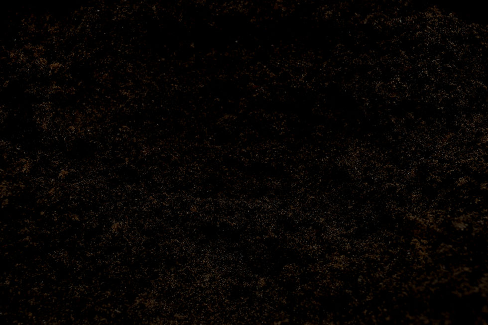 Close-Up of Soil_edited_edited.jpg