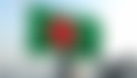 Bengali - Language of the Month 