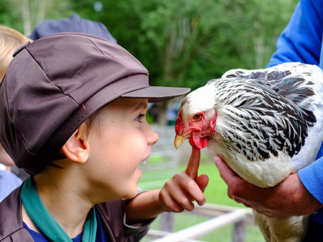 Farm visit