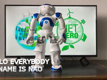 NAO the robot