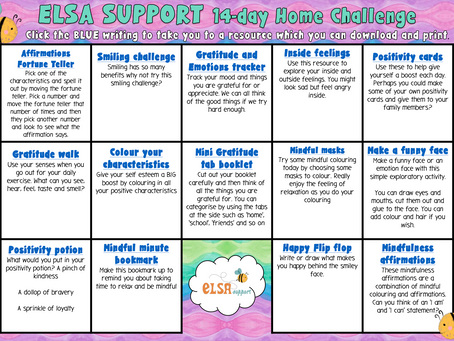 14 Day Home Challenge