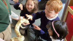 British Science Week