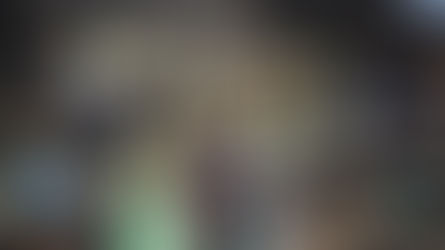 Y1 at Chessington Zoo