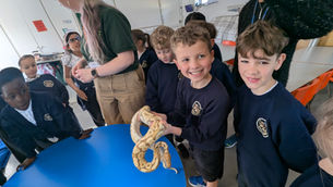 British Science Week for Year 3