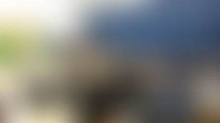 World Environment Day 2025