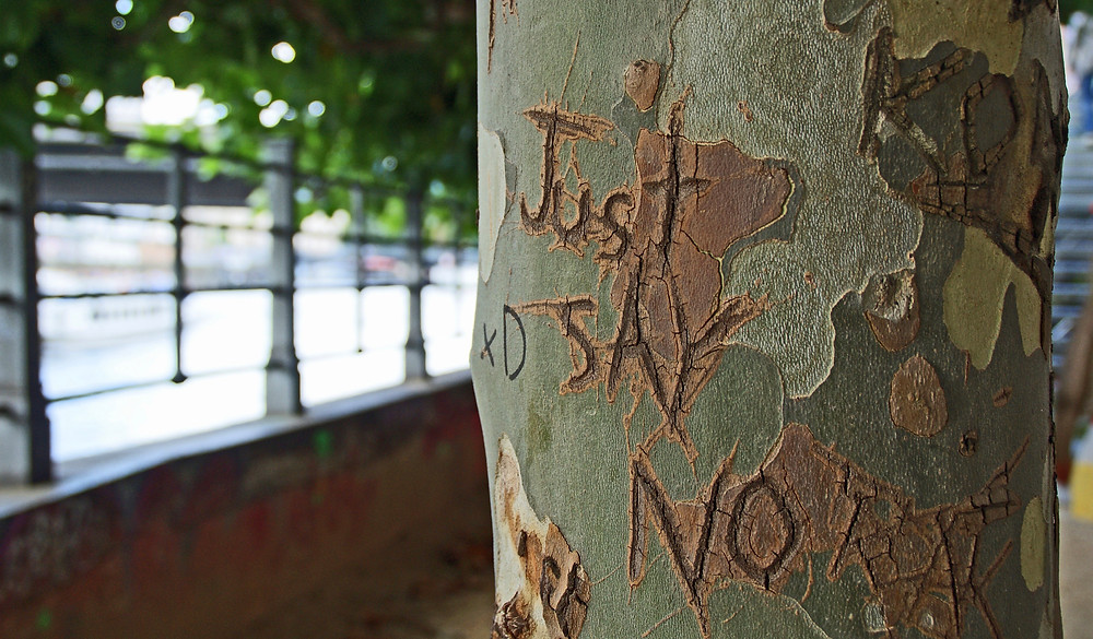 Tree with "just say no" carved into it