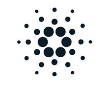 cardano_bw_edited.jpg