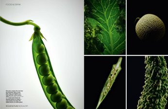 Macro food photography collage of fresh green pea pods and leafy green herbs on dark moody backgrounds